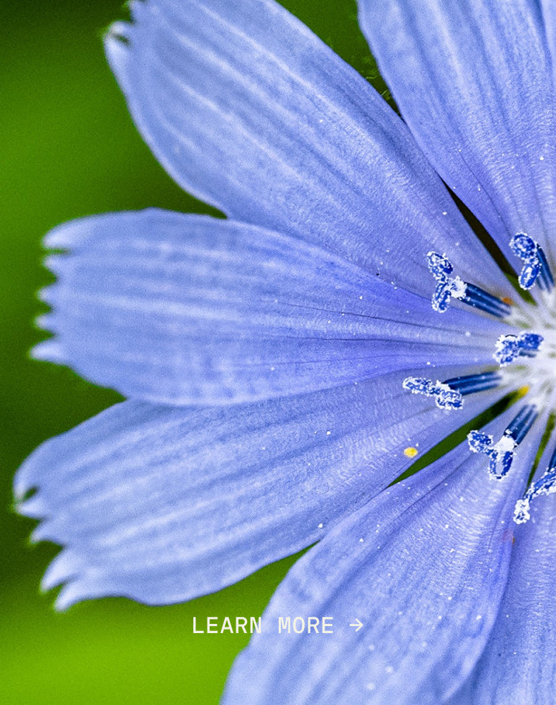 Inulin